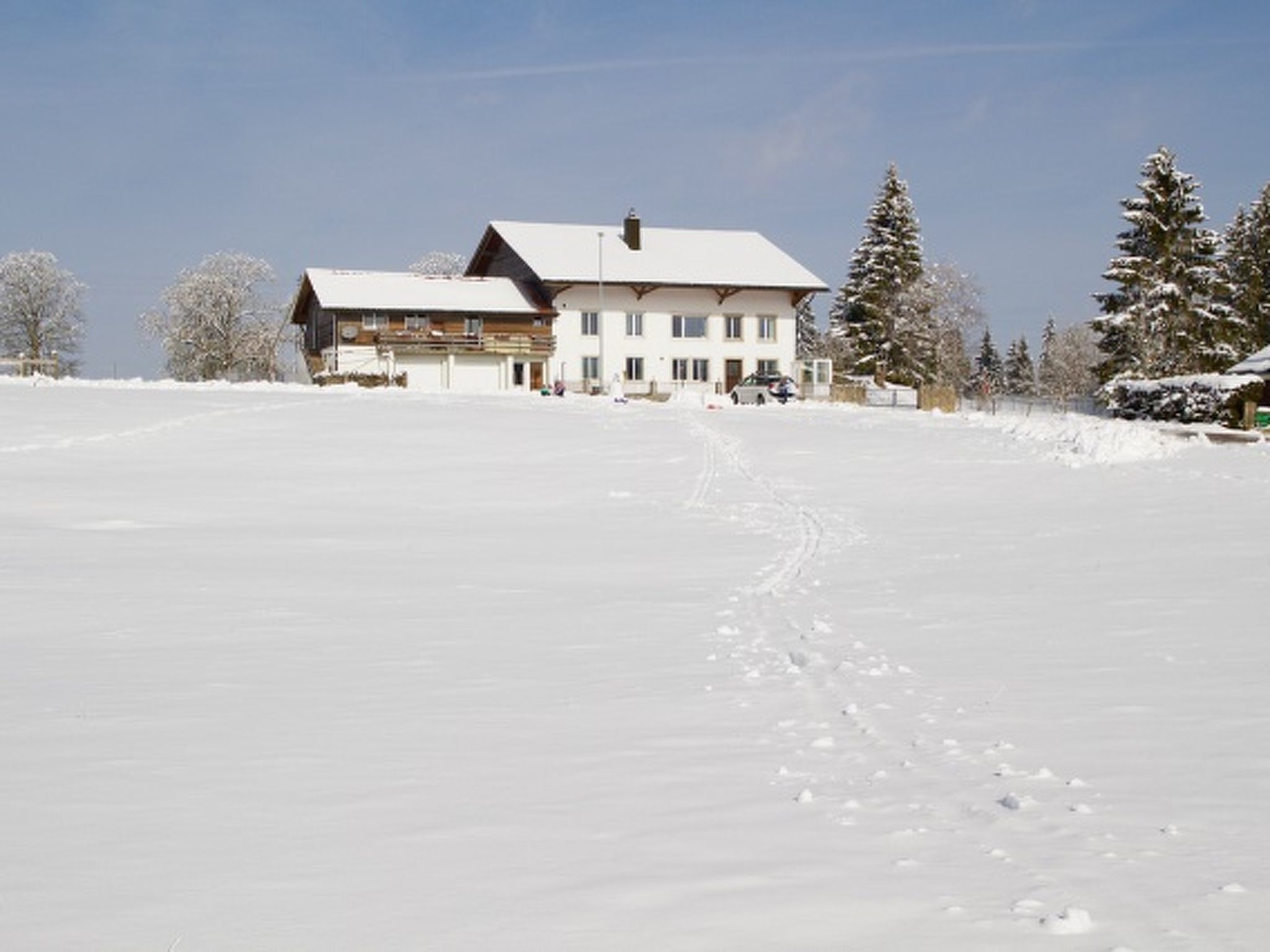 Eksteriør