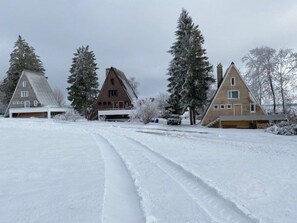 A residential area with three houses, each with a distinct architectural style, surrounded by snow-covered trees.