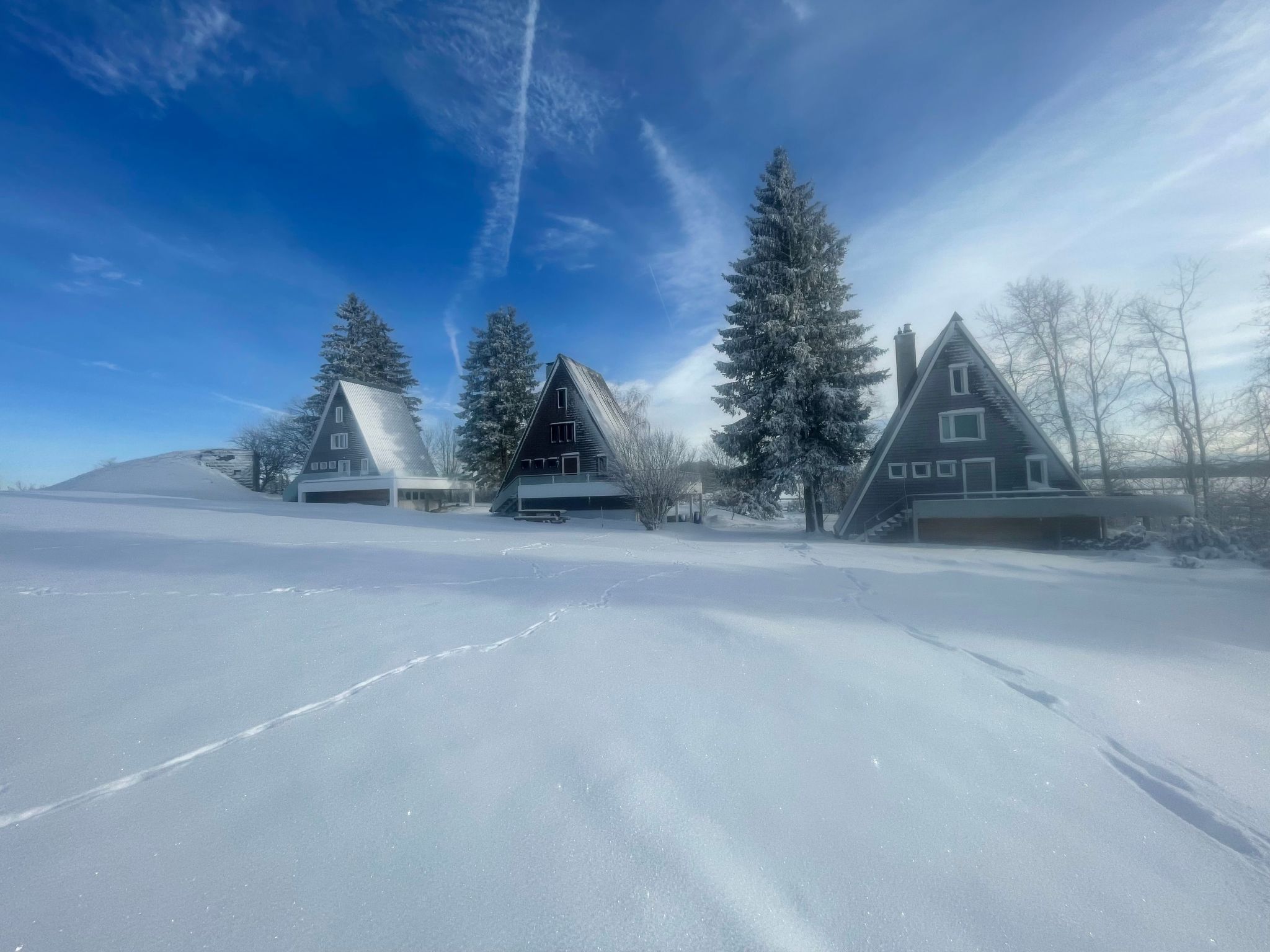 A snow-covered landscape with two houses, one with a gabled roof and another with a triangular roof, surrounded by snow-laden trees.