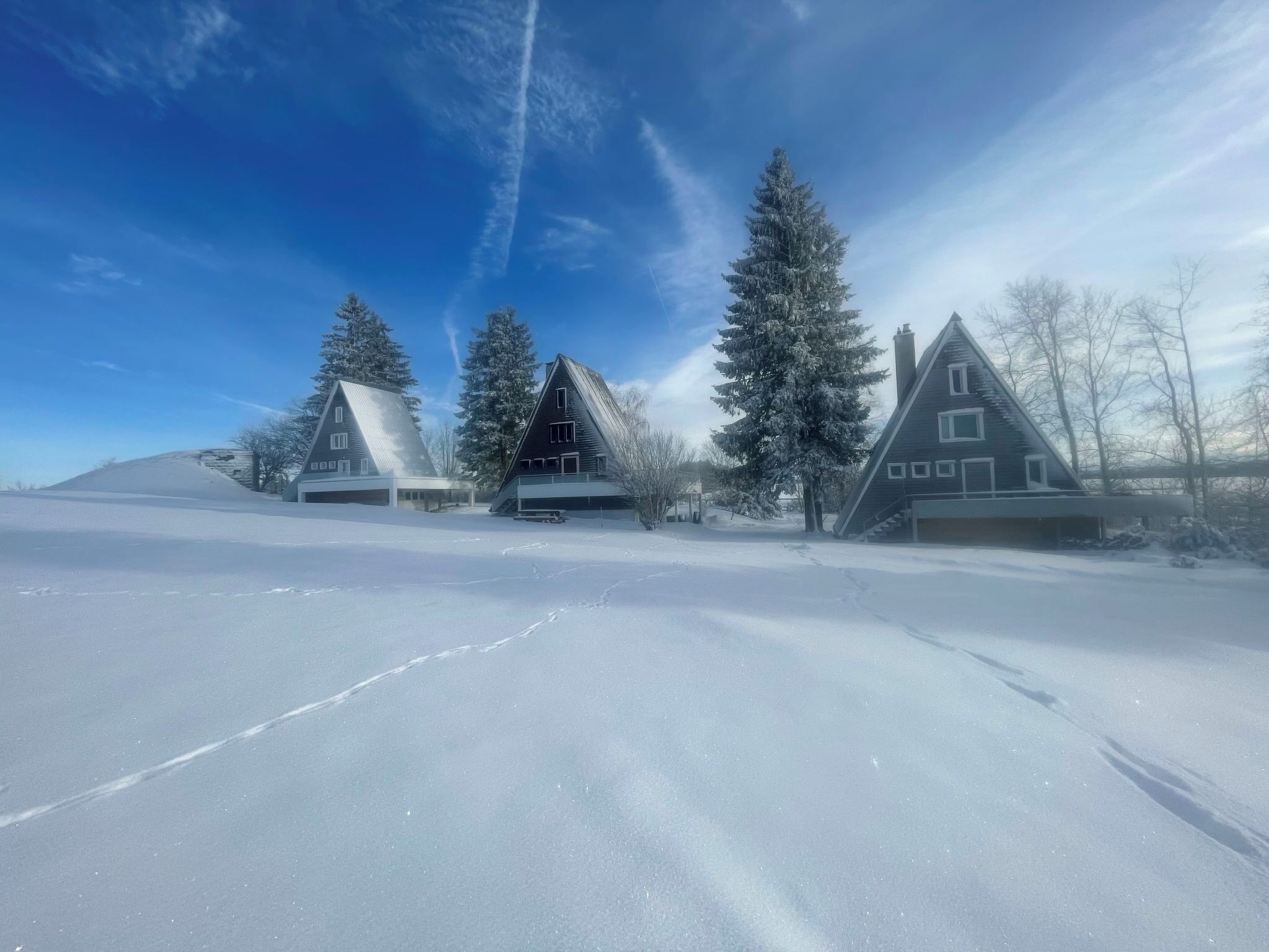 Eksteriør