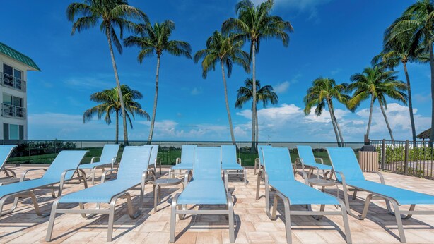 Een strandlounge met ligbedden en palmbomen.