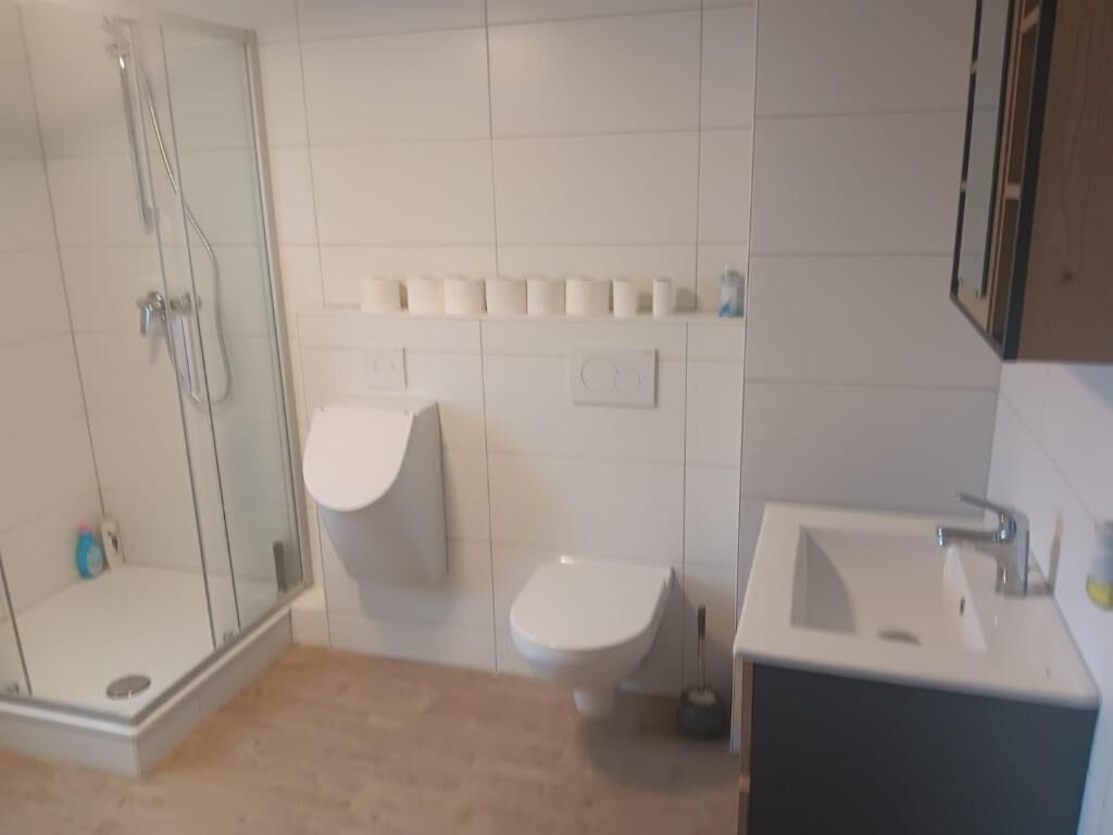 Ein Badezimmer mit Duschkabine, Toilette und Waschbecken.