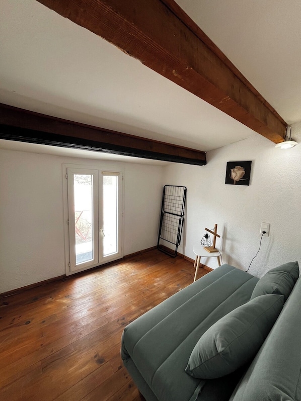 A room with a wooden floor, a green sofa, a ceiling with exposed beams, and a door leading outside.