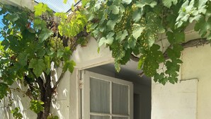 A white door with a window, a metal railing, and a tree with green leaves. - Fisherman's cottage on the Fouras Peninsula (Charente-Maritime) (Fouras)
