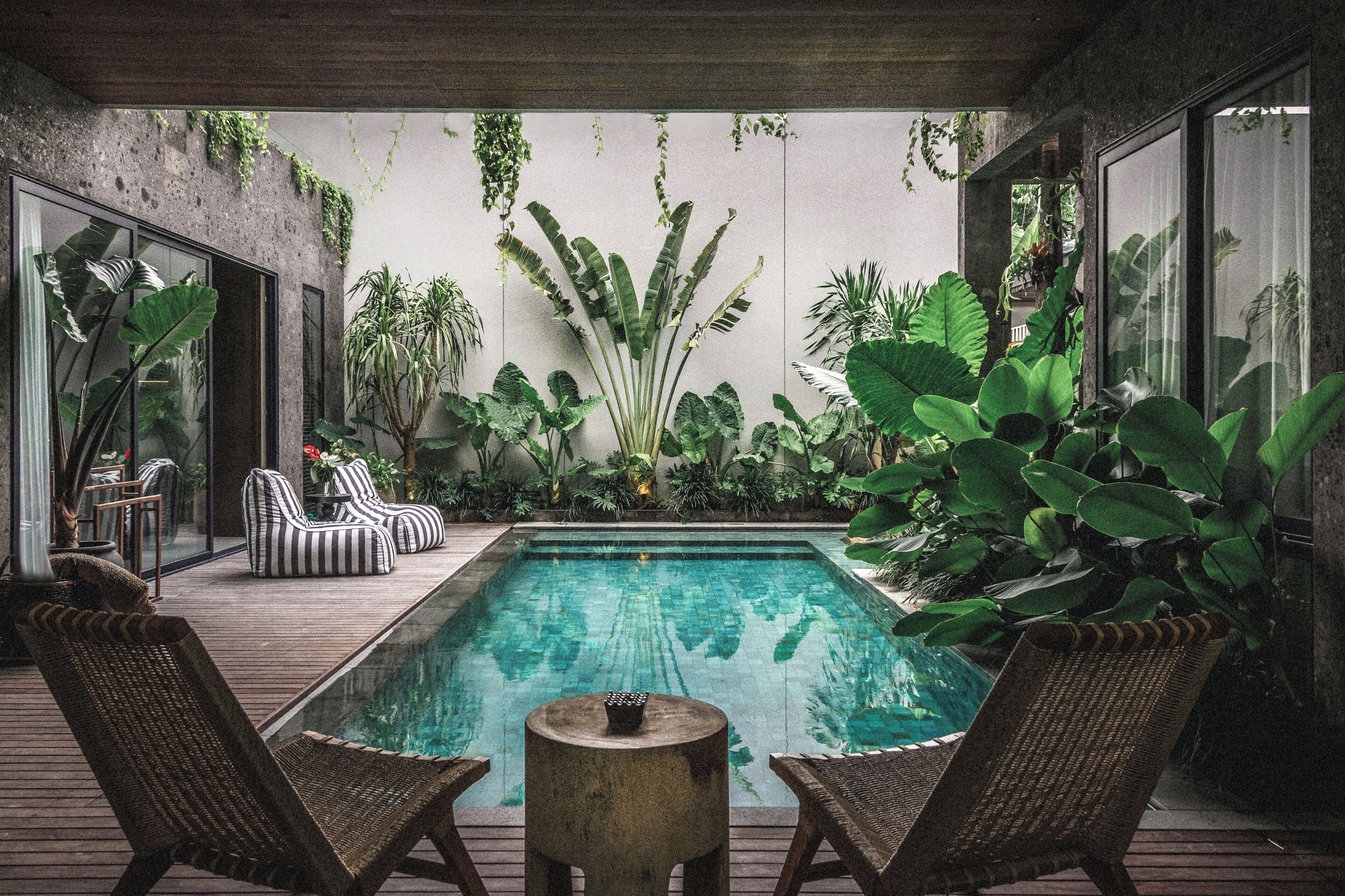 A pool area with lounge chairs and a table, surrounded by various plants and a concrete wall.