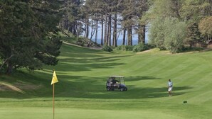 Um campo de golfe com uma bandeira, um carrinho de golfe e um jogador.