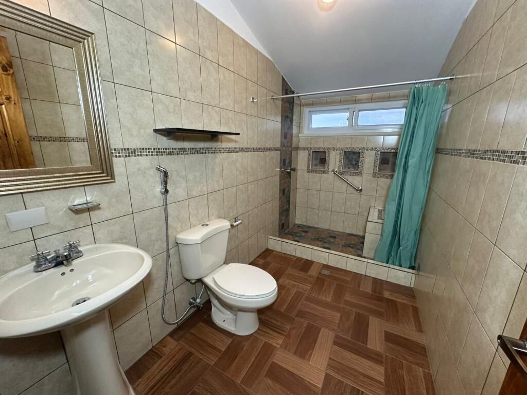 A bathroom with a shower, toilet, sink, and a mirror.