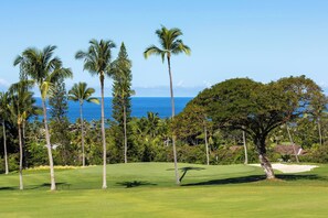 Ein Golfplatz mit freiem Blick auf das Meer und verschiedenen Bäumen.