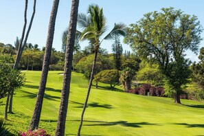 Ein Golfplatz mit einem gepflegten Grün, Palmen und verschiedenen anderen Bäumen.