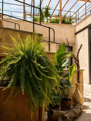 Property grounds - VINEV Cappadocia (Urgup)