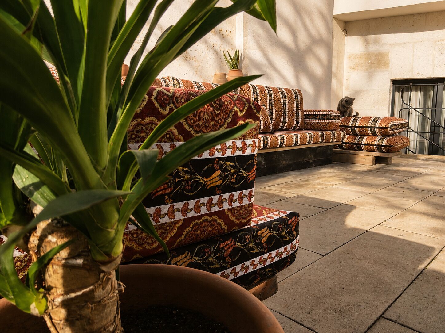 Terraza o patio
