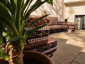 Un conjunto de sofá con diseño en un patio, con una planta en maceta al frente.