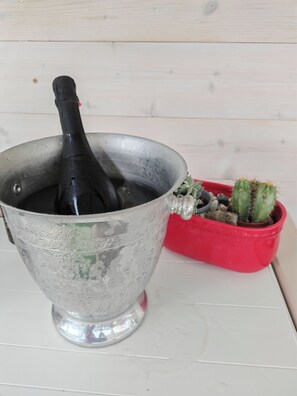 A metallic bucket with a black object inside, next to a red planter with cacti. - Villa Shiva - Extension. Country House with Hot Tub and Grill (Lazio)