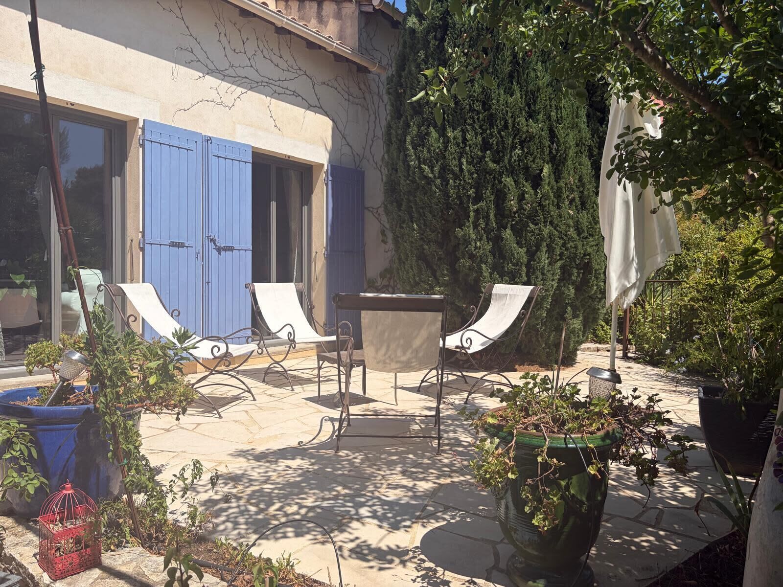 A patio with outdoor furniture, a blue door, and a large tree.