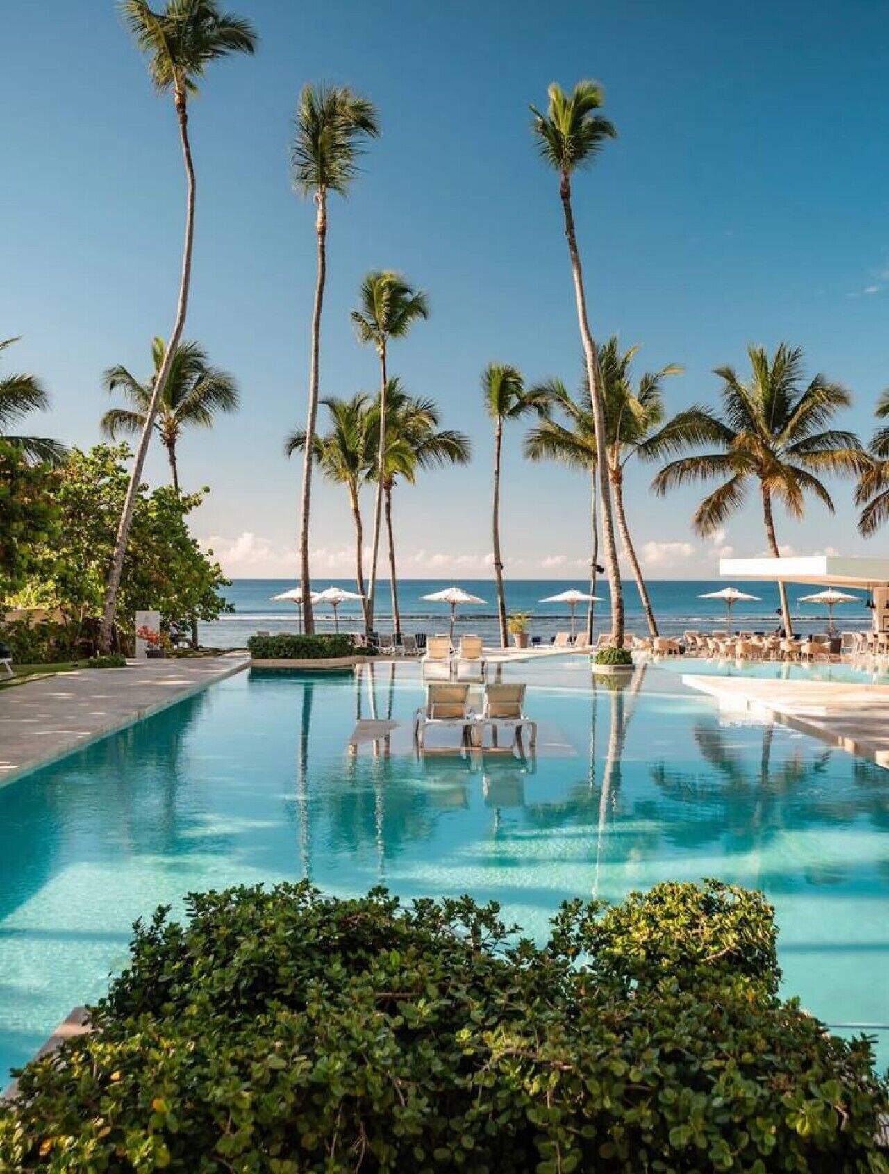 A pool area with lounge chairs and palm trees, overlooking a body of water.