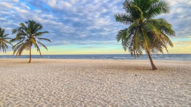 Ein Strand mit Palmen und blauem Himmel.