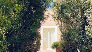 A pathway leading to a building with a glass door, surrounded by dense foliage. - Dune (Montalto di Castro)