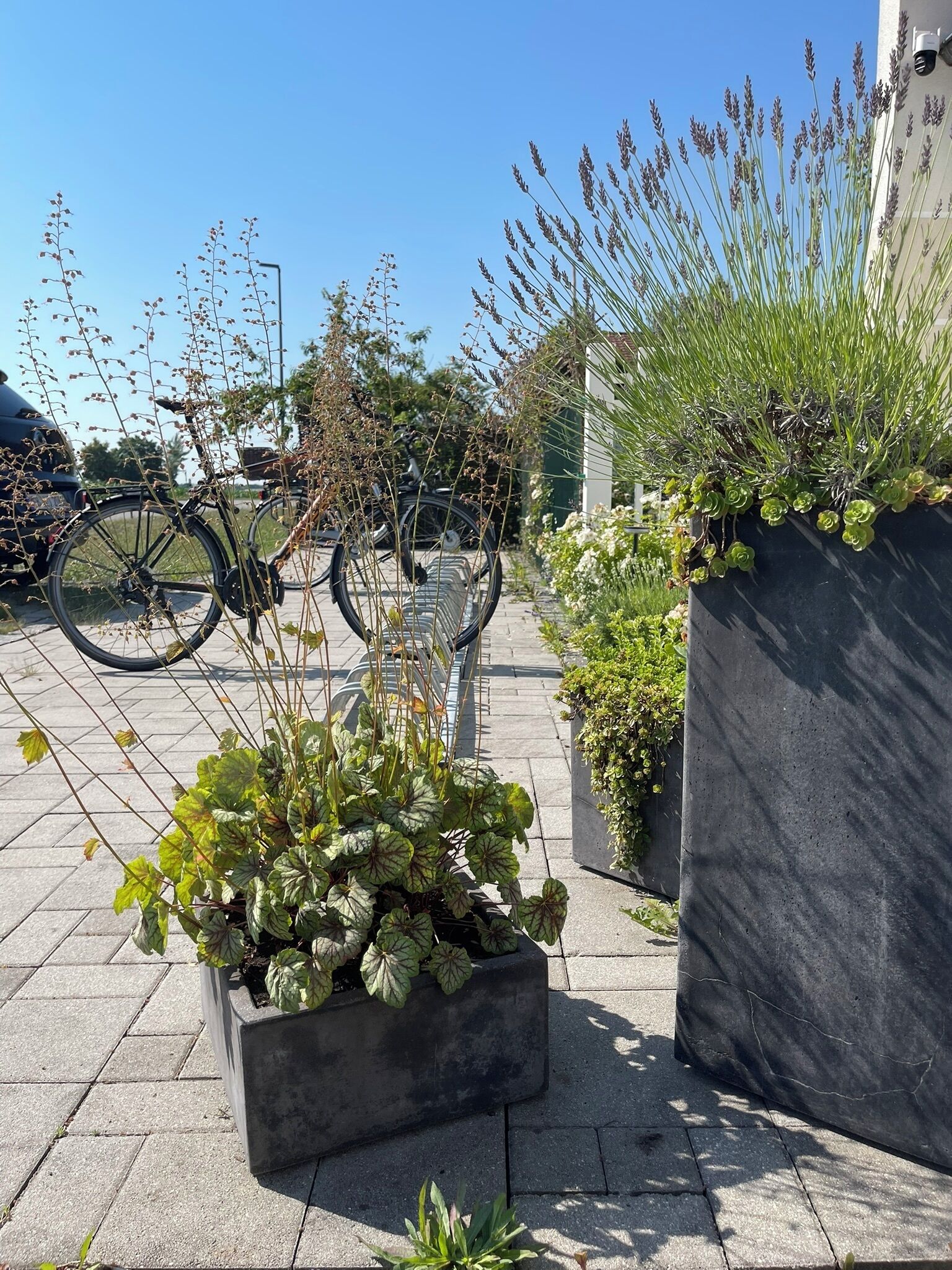 Terrein van de accommodatie