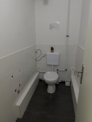 A small, white bathroom with a toilet, a shower, and a bathtub. There is a small plant on the toilet tank.