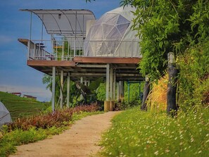 Habitació doble júnior, balcó, vistes a la muntanya | Altres