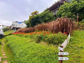 A pathway with directional signs, a grassy area, and a building in the background. - Mon P Monjam (Mae Rim)