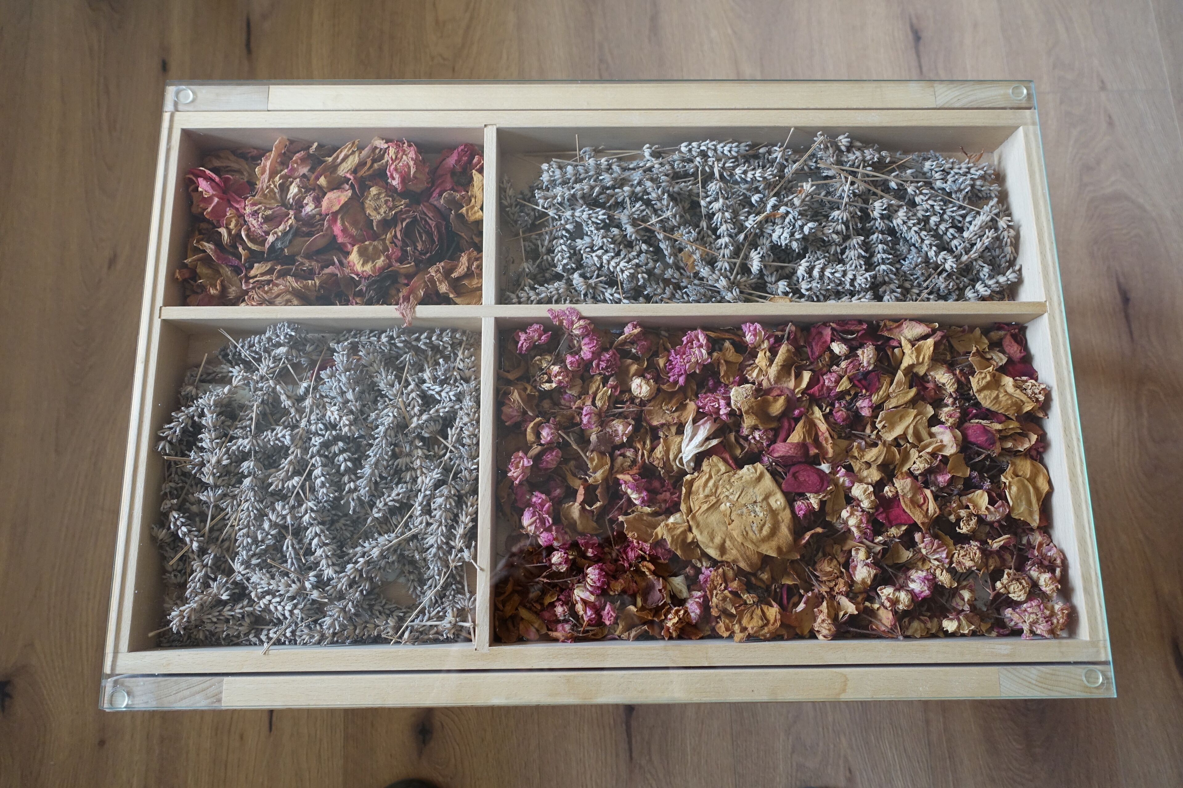 A wooden box divided into four compartments, each containing different types of dried flowers and seeds.
