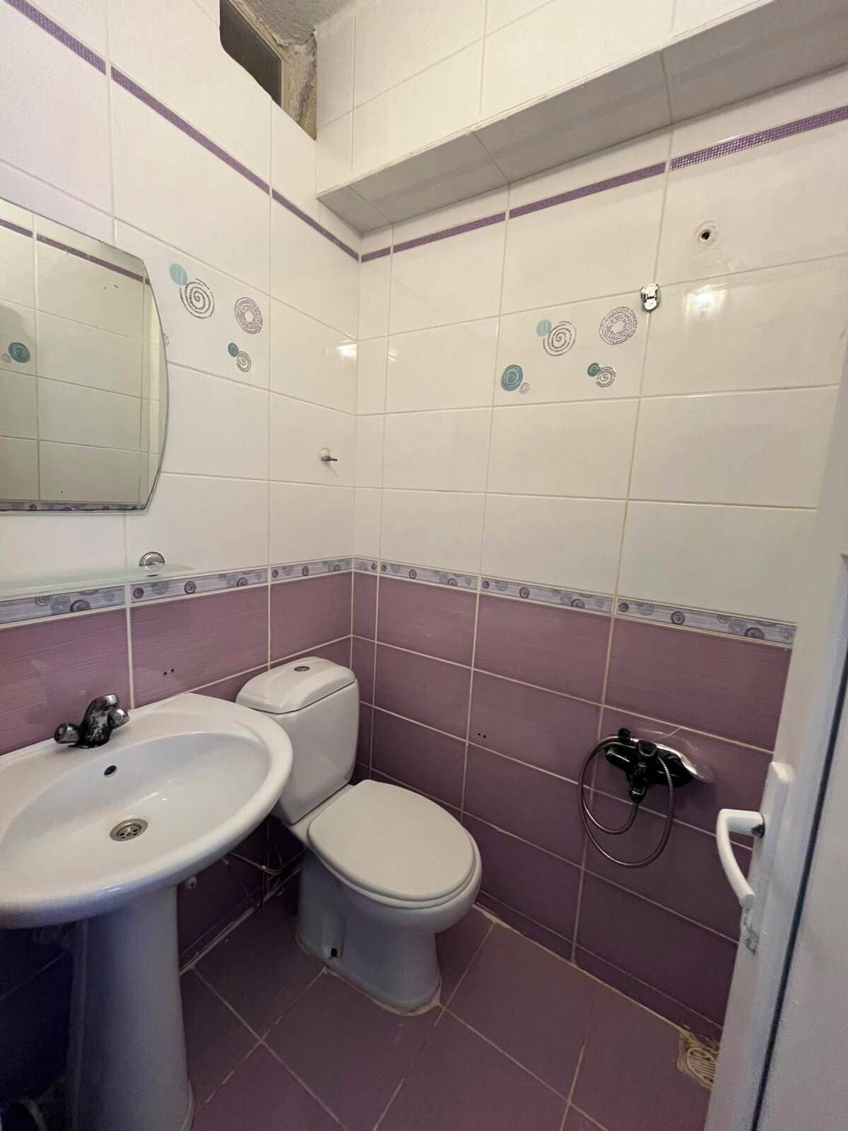 シャワー、石鹸、トイレットペーパー