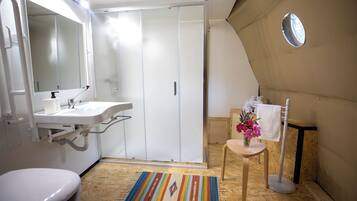 Shower, hair dryer, bidet, towels