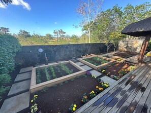 A garden with raised beds and a wooden deck. -  A  traditional, tropical Mauritian villa, 3-4 mins walk  to an amazing beach. (Balaclava)