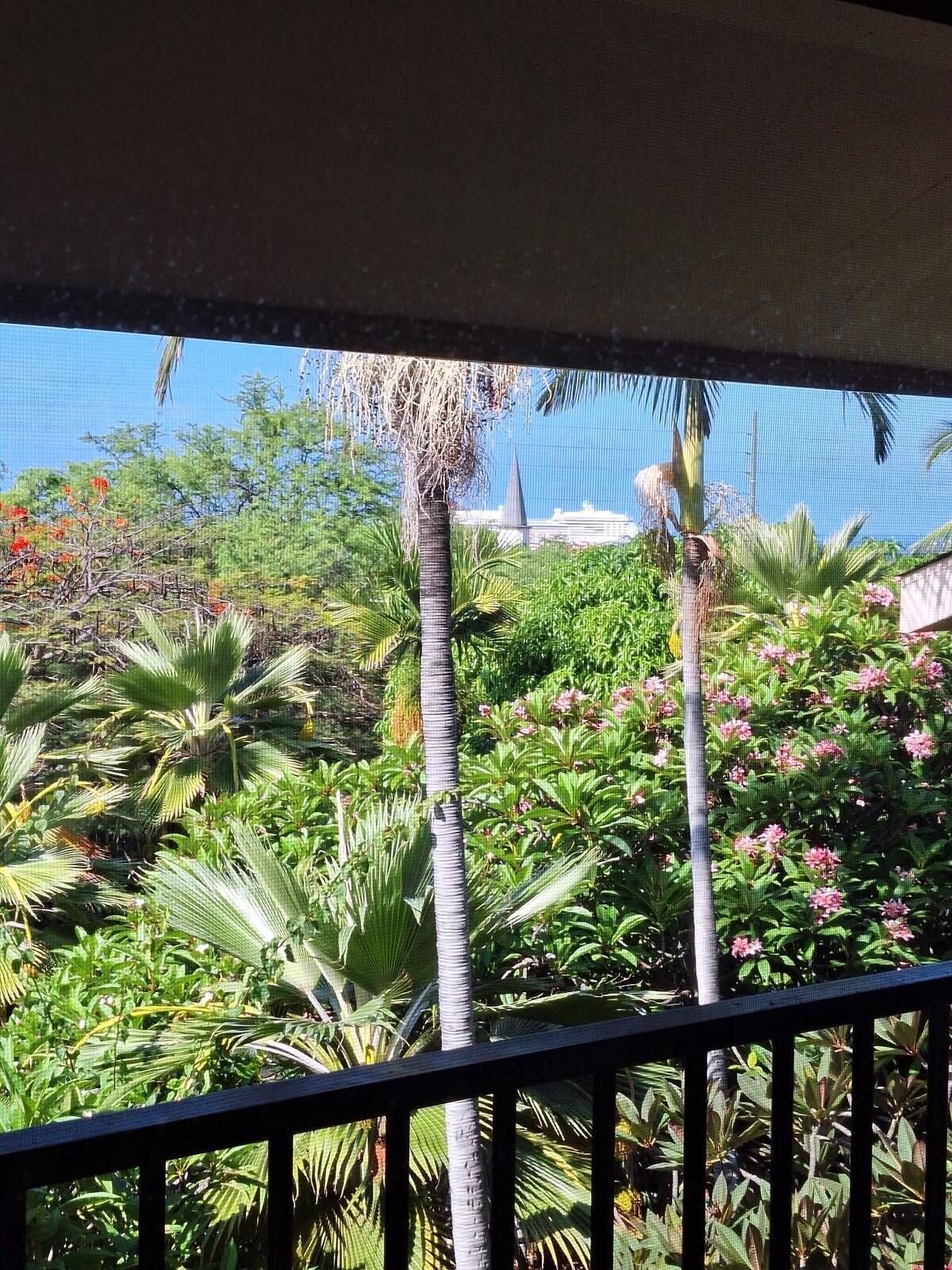 A tropical garden with various plants and a palm tree.