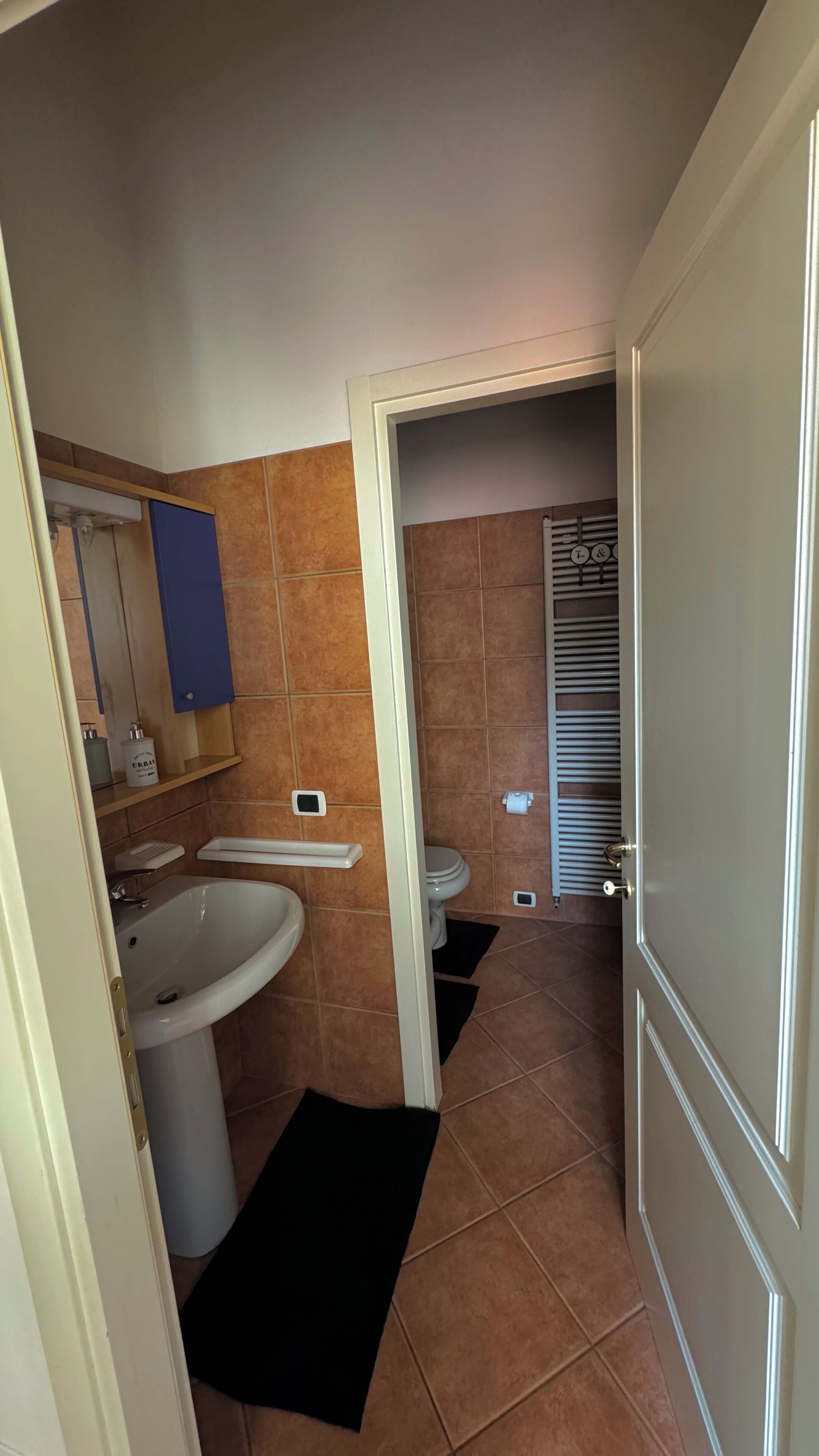 Dusche, Haartrockner, Bidet, Handtücher