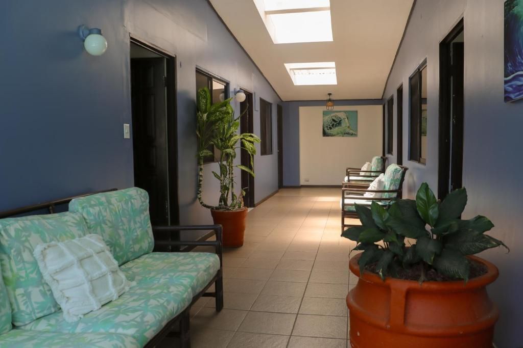 A hallway with a sofa, potted plants, and a bench.