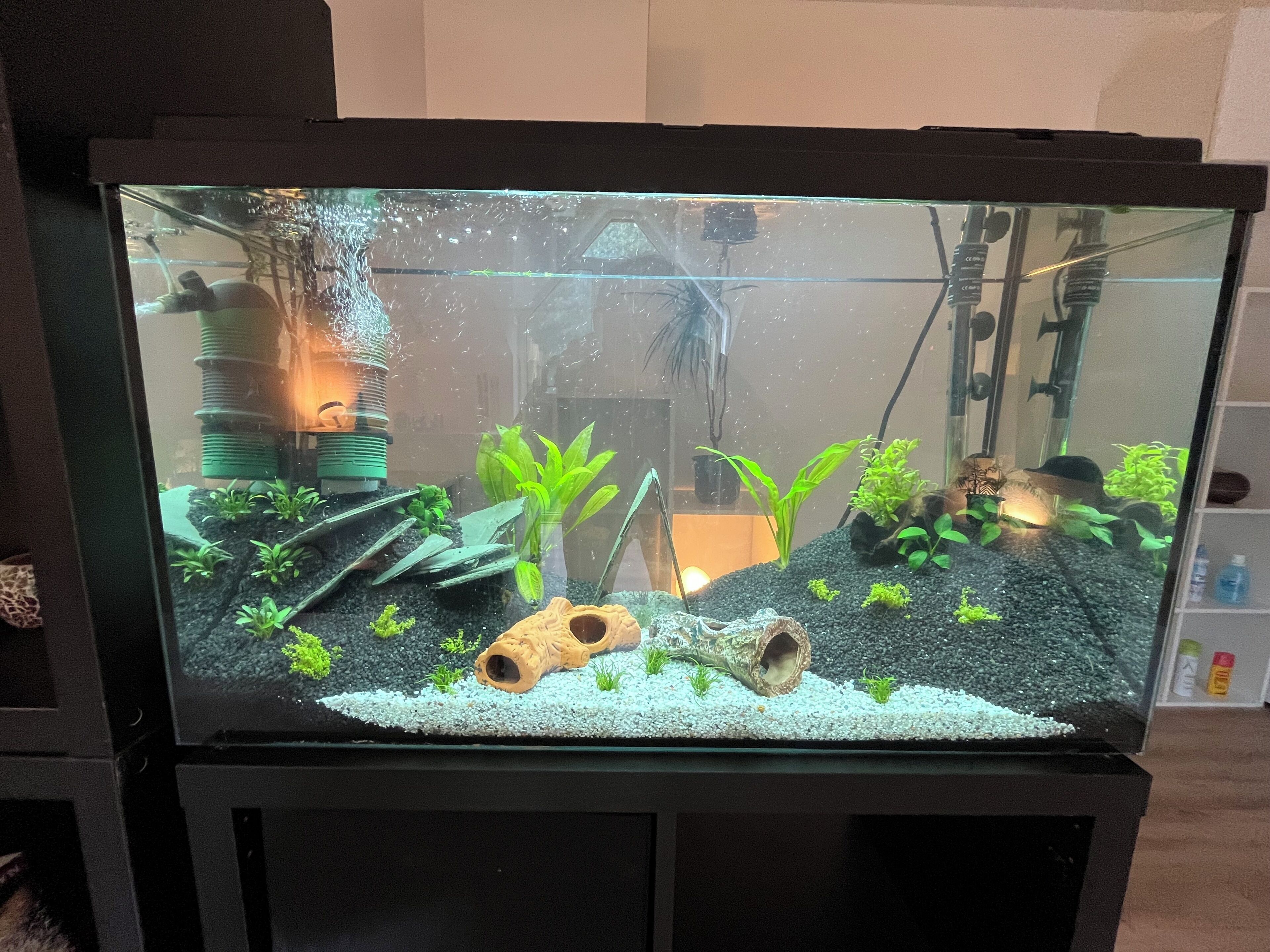 Een aquarium met waterplanten en een decoratieve constructie.