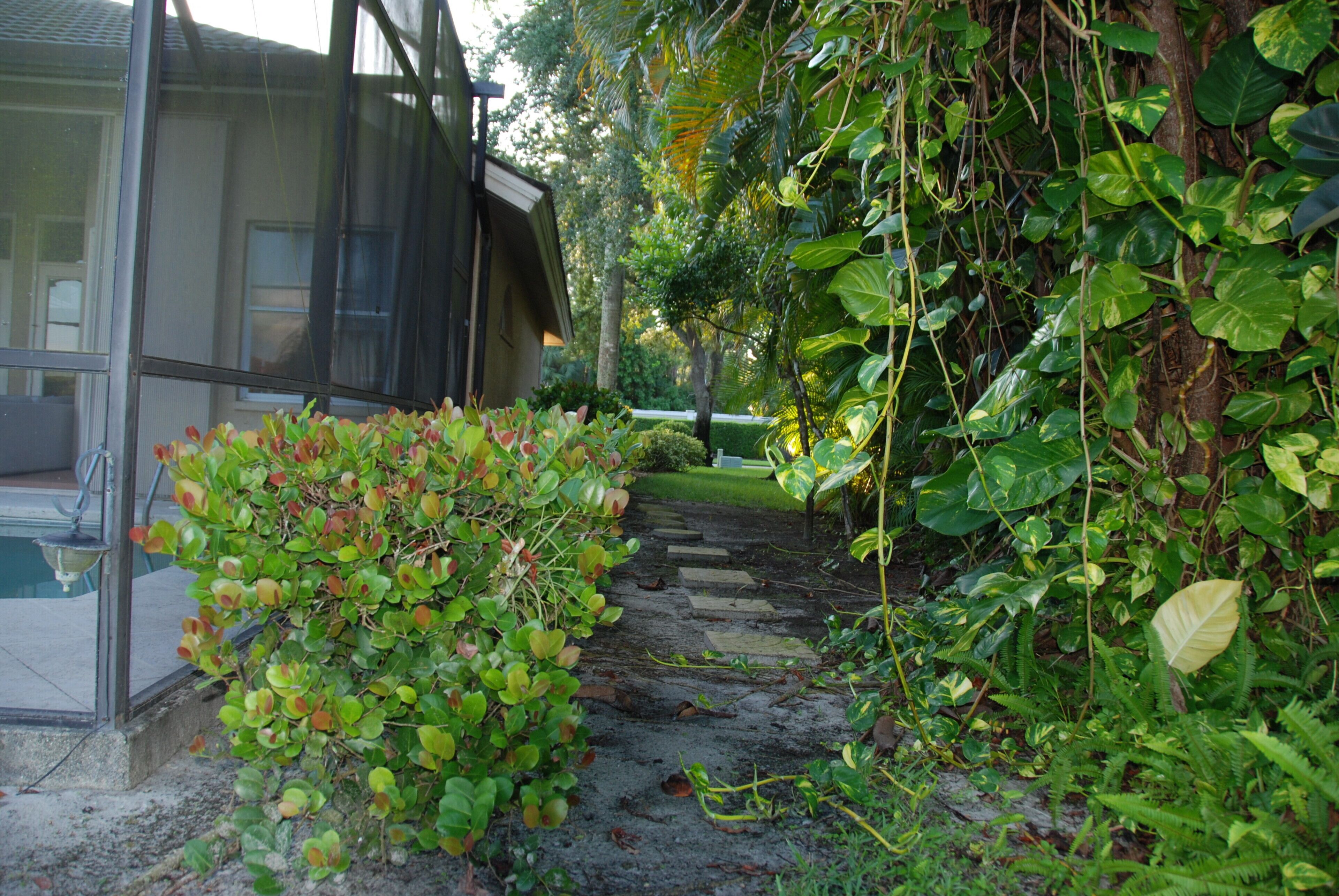 A pathway leading to a house with a screened porch and lush greenery.