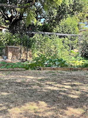 A garden with a wooden trellis, a raised bed, and a tree providing shade. - Provençal villa 4bd, pool, sauna, gym, wine cellar — 5min to Valbonne (Valbonne)