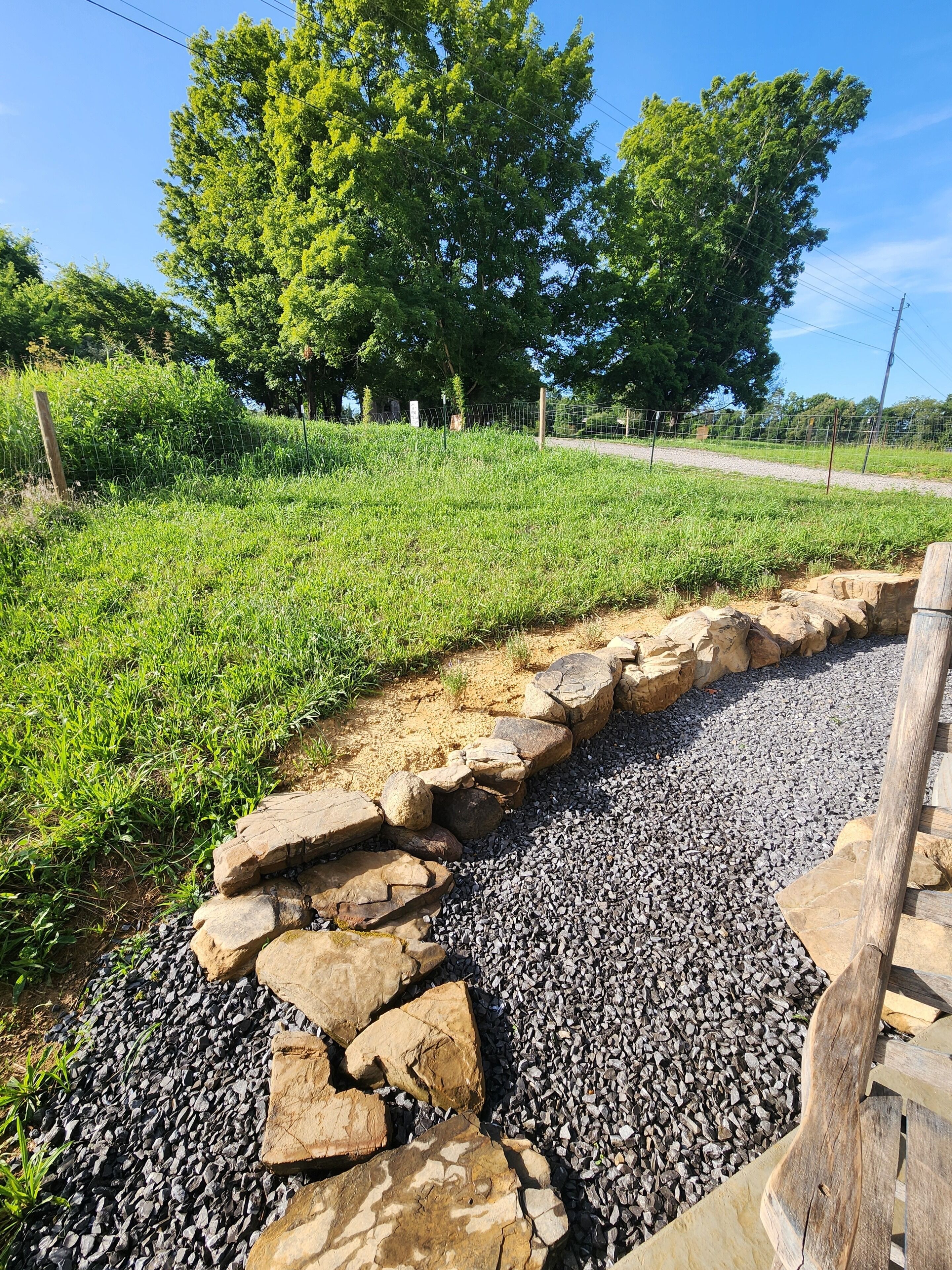 A pathway with a stone border leading to a grassy area with trees.
