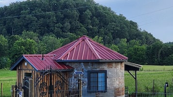A rustic wooden cabin with a metal roof, surrounded by a metal gate and fence, set against a backdrop of a lush green hill.
