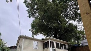 A single-story house with a covered porch, a gravel pathway leading to the front door, and a large tree in the backyard.