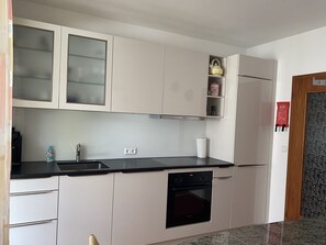 Private kitchen - Quiet Riverside Wallbach Apartment with Terrace, AC, Washer-Dryer & Rhine View (Bad Säckingen)