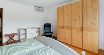 Quiet Riverside Wallbach Apartment with Terrace, AC, Washer, and Rhine View