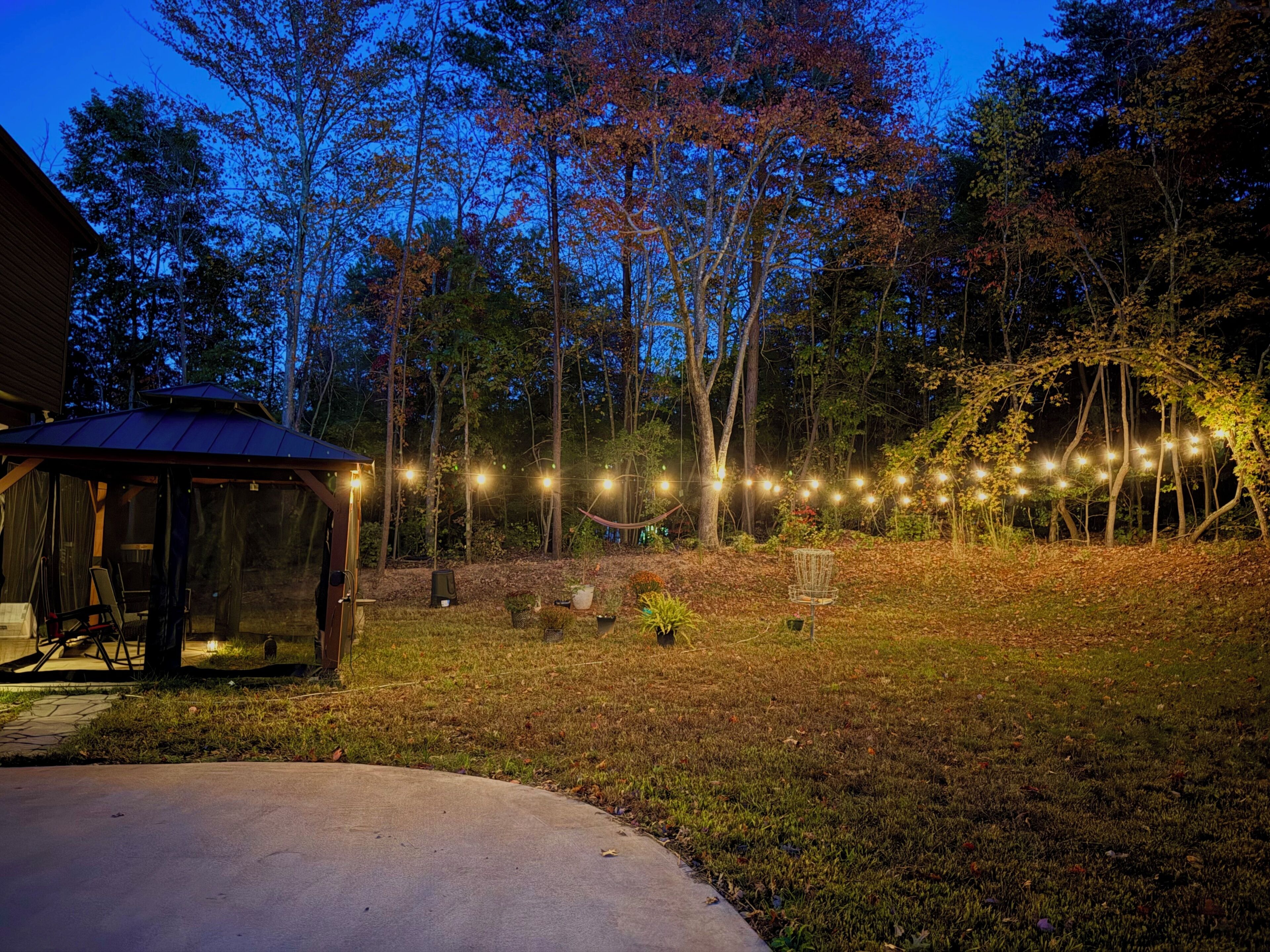A gazebo with a metal roof and a concrete patio in a backyard with string lights and trees.