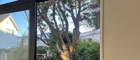 Vista a través de un ventanal de vidrio a un muelle de madera, un árbol y follaje denso.