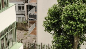 A courtyard with a large tree, a building with a balcony, and a concrete pathway. - 2BR Rooftop Terrace in Rotterdam City Centre (Rotterdam)