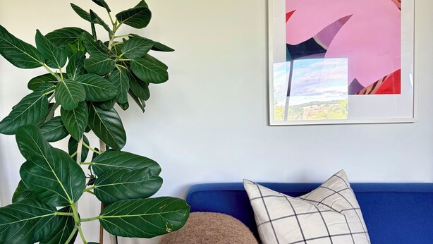 A room with a blue sofa, a large green plant, and a framed abstract painting. - Luxury Mid Century Home on Hudson Waterfront Bluff. 4 bed/3 bath (Highland)