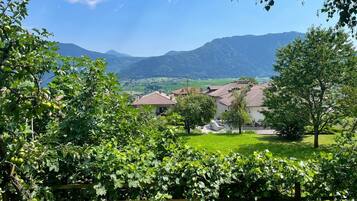 A rural landscape with houses, a vineyard, and mountains in the background.