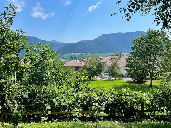 A rural landscape with houses, a vineyard, and mountains in the background.