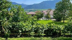 Ländliche Landschaft mit Häusern, einem Weinberg und Bergen im Hintergrund.