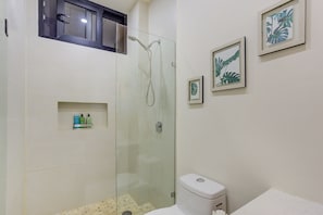 Une salle de bain avec une douche à parois de verre, des toilettes et des reproductions botaniques encadrées accrochées au mur.