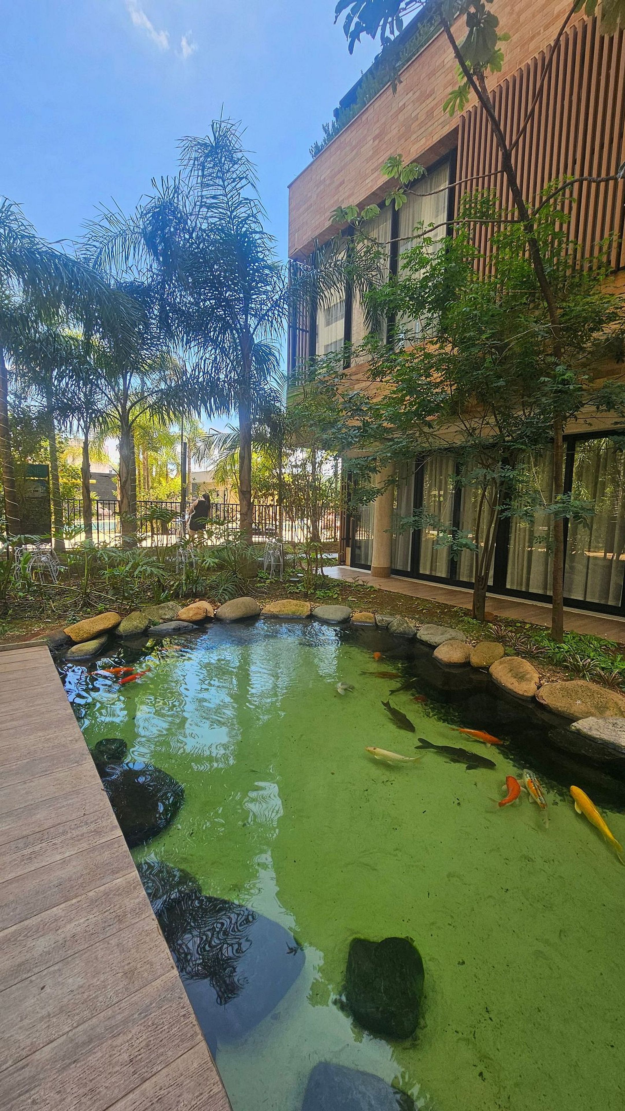 Un bassin à carpes koï, avec des rochers et une terrasse en bois.