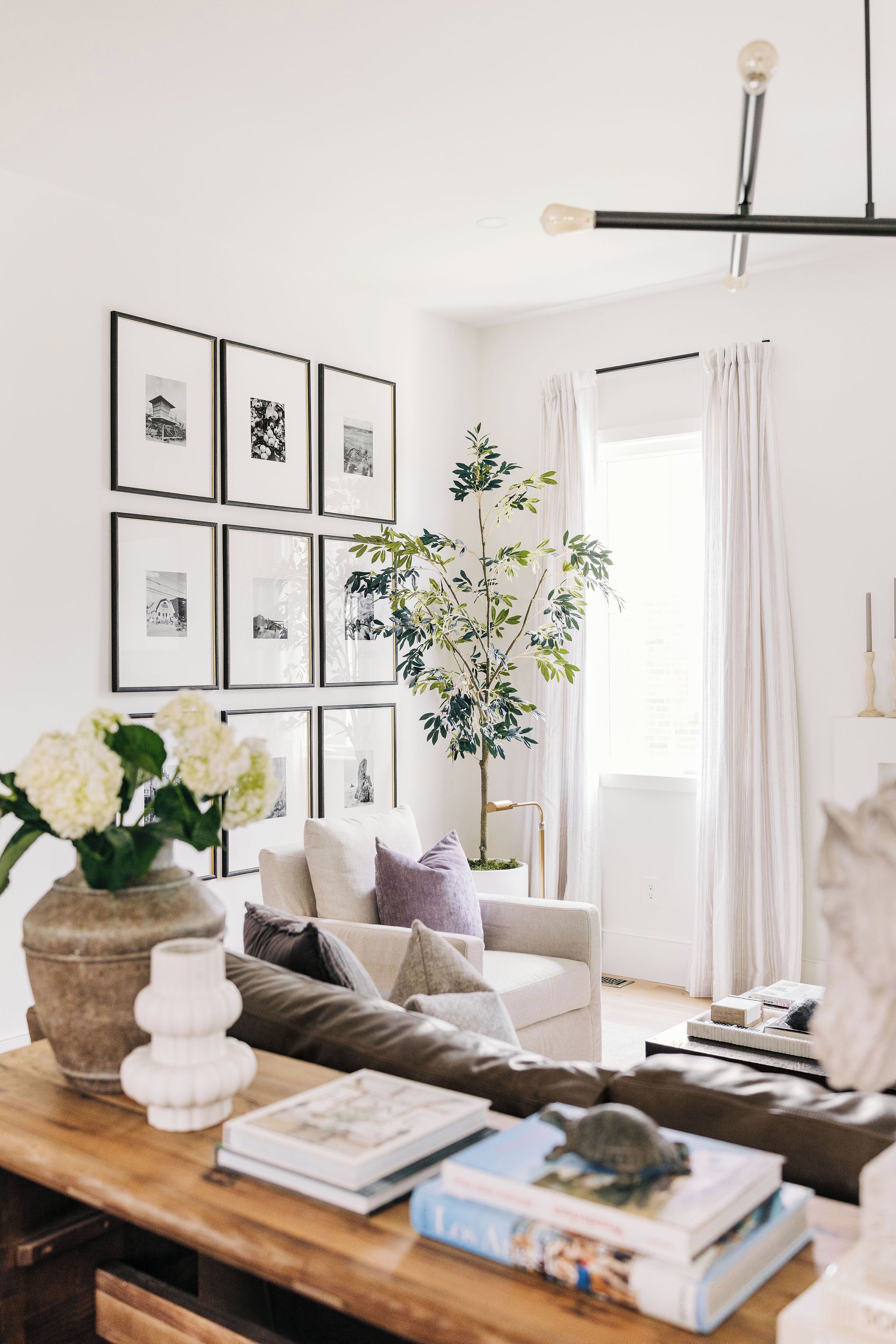 A living room with a sofa, a coffee table, a potted plant, and framed pictures on the wall.